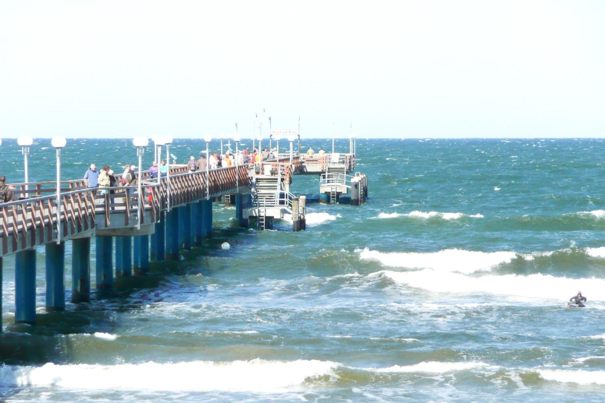 Aparthotel Ostsee Fewo 36 Balkon, Meerblick, Strand 빈츠 외부 사진